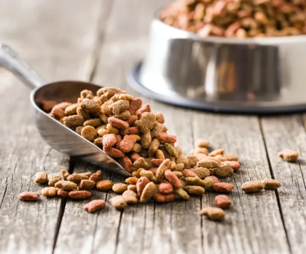 Chicken & Veggie Delight (Homemade Dog Food)