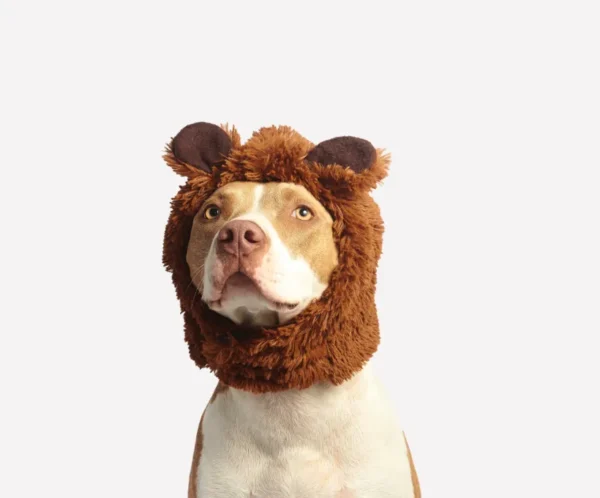 Dog Head Cover Costume (Lion Mane)