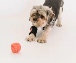 high-bounce dog ball toy