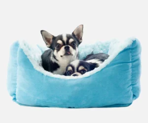 Foldable Travel Dog Bed