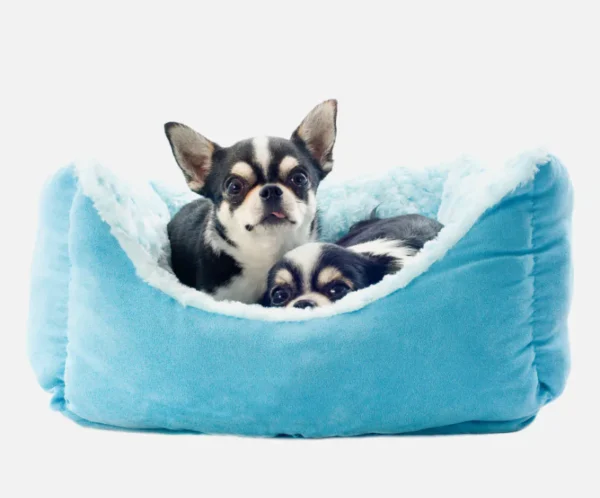 Foldable Travel Dog Bed