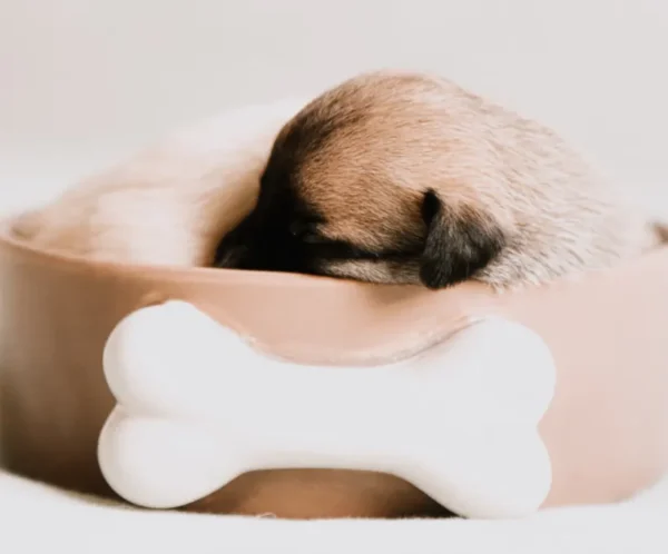 Soft Plush Round Bed