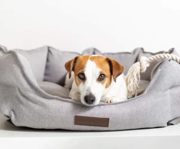 product-thumb-8_optimized Luxury Sofa-Style Dog Bed
